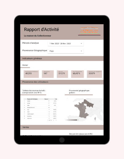 Rapport D’activité